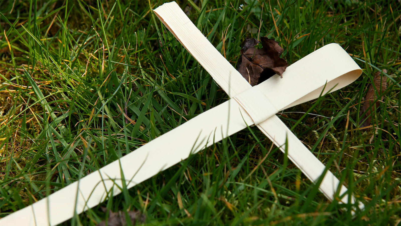 A palm leaf woven into a cross, lying on some grass.
